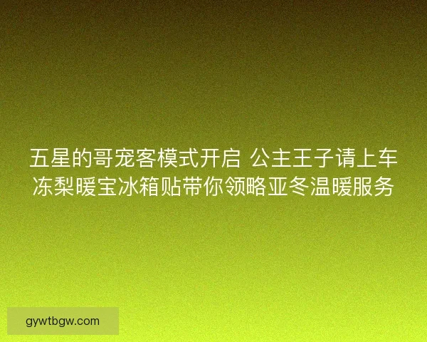 五星的哥宠客模式开启 公主王子请上车冻梨暖宝冰箱贴带你领略亚冬温暖服务
