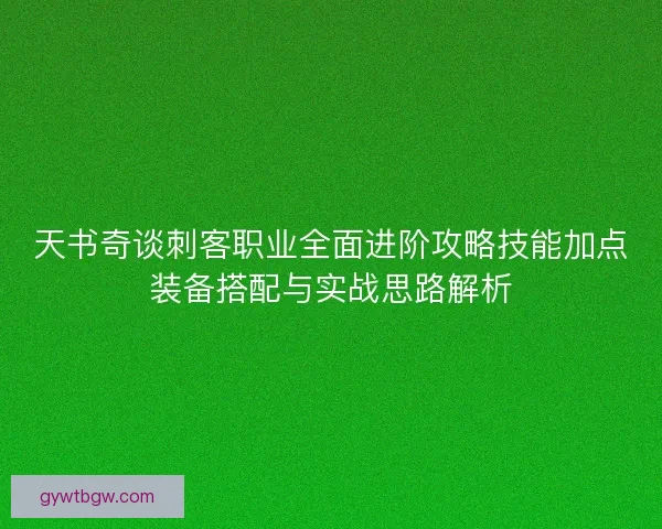 天书奇谈刺客职业全面进阶攻略技能加点装备搭配与实战思路解析