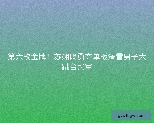 第六枚金牌！苏翊鸣勇夺单板滑雪男子大跳台冠军