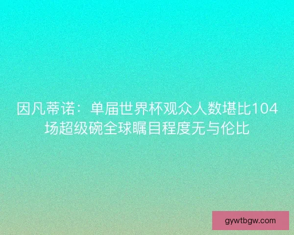 因凡蒂诺：单届世界杯观众人数堪比104场超级碗全球瞩目程度无与伦比